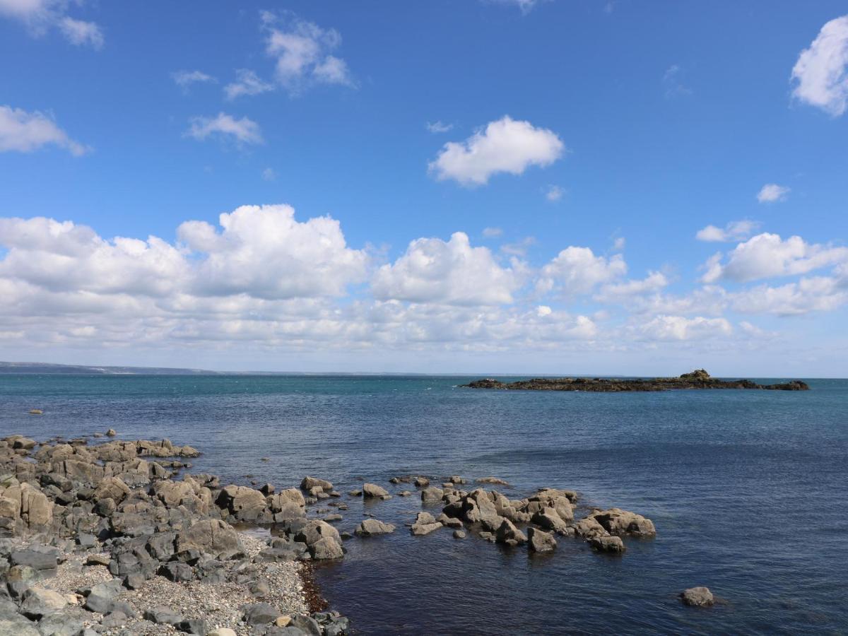 Bos Lowen بينزانس المظهر الخارجي الصورة